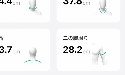 二の腕周り