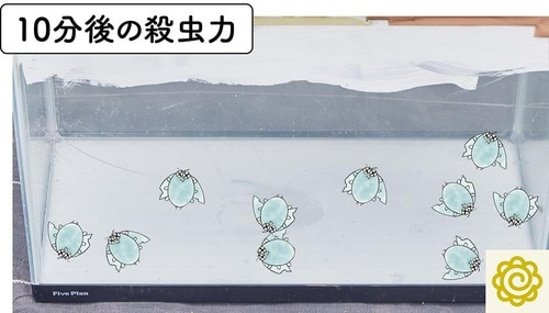 アース製薬「アースレッド プロα 6~8畳用」 ゴキブリ対策グッズおすすめ イメージ