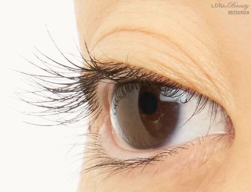 仕上がり マスカラおすすめ イメージ