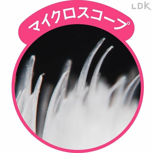 “歯周ケア”がバッチリ叶う 歯ブラシおすすめ イメージ2