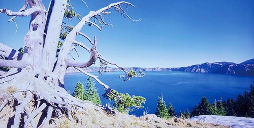 10万円台の製品 miniLEDテレビおすすめ イメージ