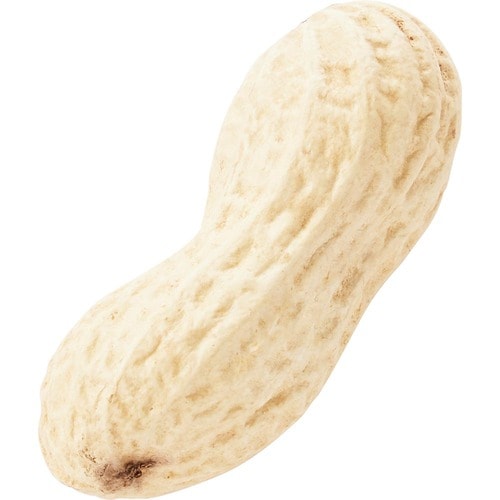 Ｐナッツ超えの「Ｑなっつ」とは？ イメージ