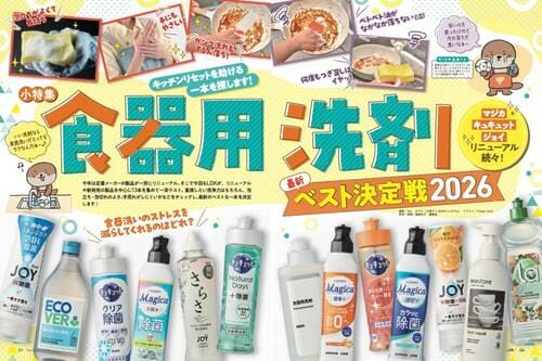 LDK12月号は食器用洗剤テストから大そうじ特集まで盛りだくさん イメージ