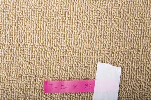 コーヒーオレンジジュースは洗剤なしでOK イメージ2