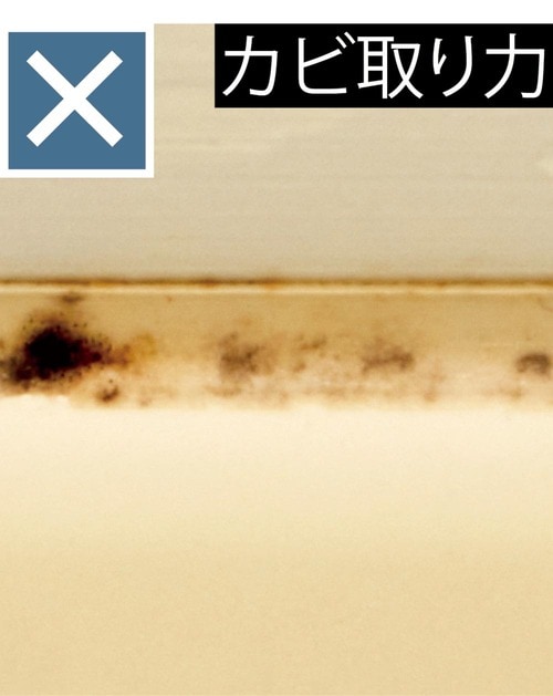 カビ取り力 カビ取りスプレーおすすめ イメージ