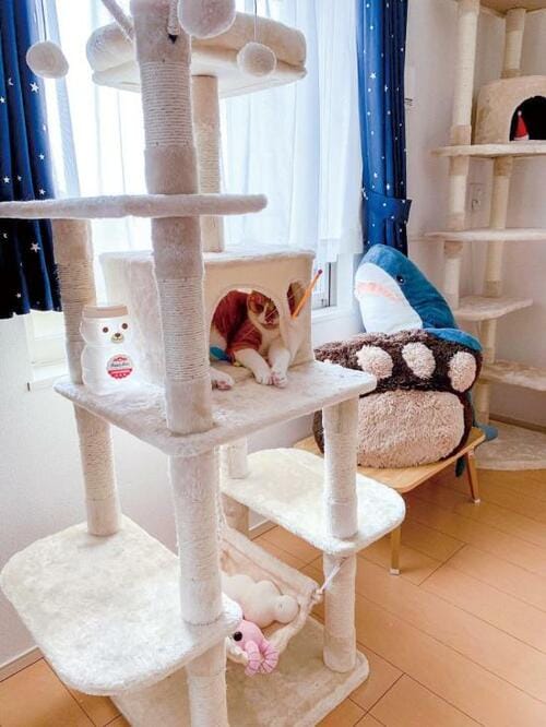 猫の遊び場として大人気！ FEANDREA「キャットタワー」 イメージ2