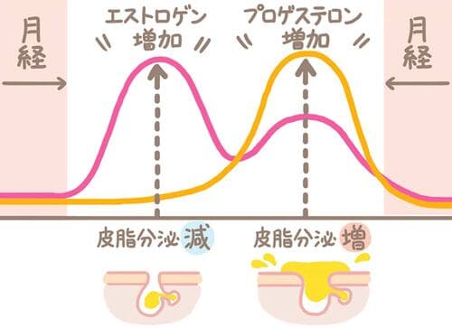 生理前は皮脂分泌が増える ビタミンC美容液おすすめ イメージ