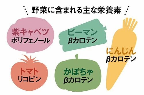 チェック③原材料名の最初の3つが重要です イメージ2