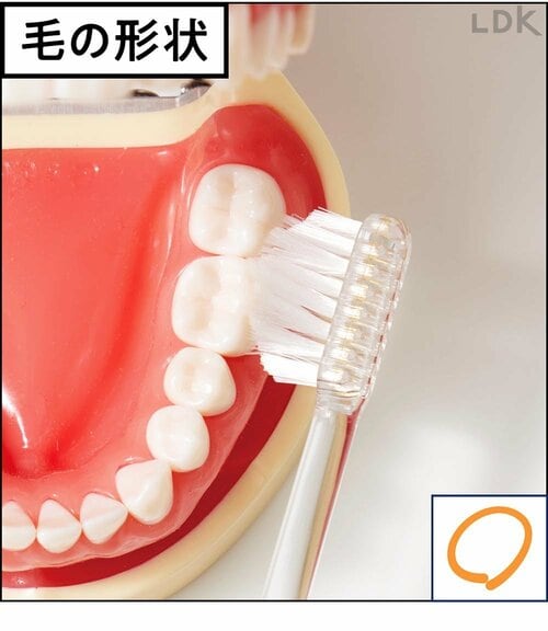 毛の形状 歯ブラシおすすめ イメージ