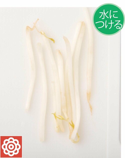 水につける:白いまんまヒゲも傷んでない