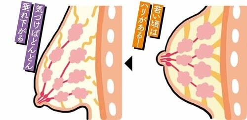 何もしなくても年々バストは下がる&産後はさらにしぼんじゃう