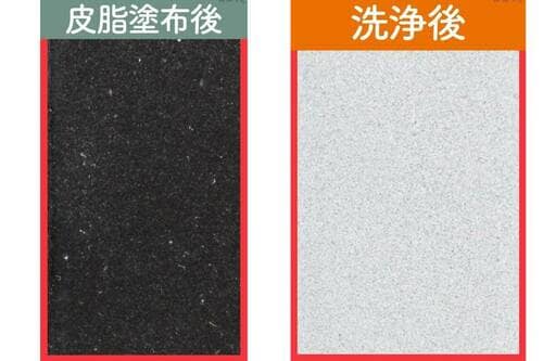 感動ポイント:なで洗いで皮脂汚れがスルスル落ちる! LDKベストバイ洗顔フォームおすすめ イメージ