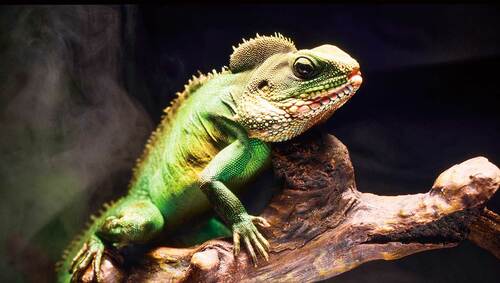 パナソニック(W95B) 家電ベストバイ オブザイヤーおすすめ イメージ