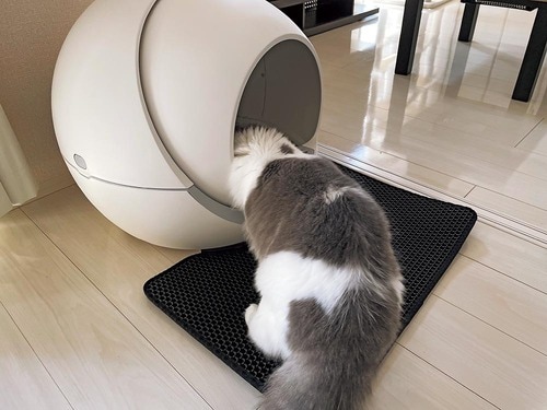 ポイント:オールフリーでうんちをポイ! 不在がちな飼い主さん向き イメージ