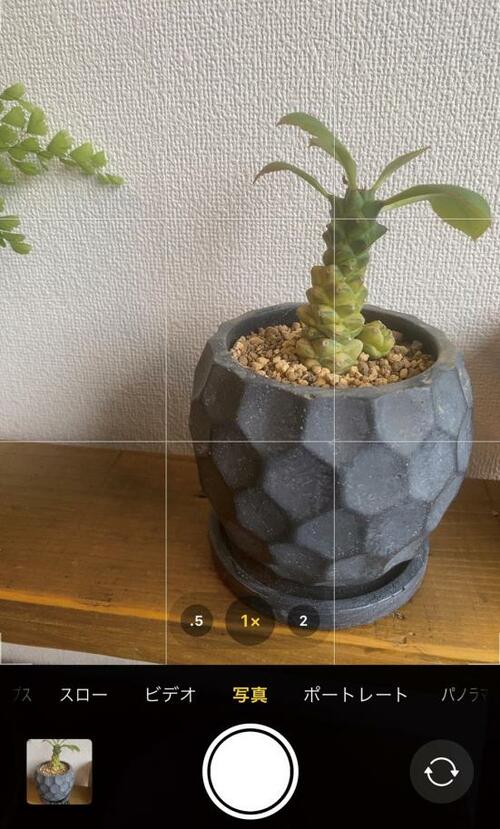 iPhone撮影テクニック1