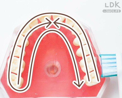 ポイント3:1本ずつブラシをスライドさせて LDKベストバイ大人用電動歯ブラシおすすめ イメージ