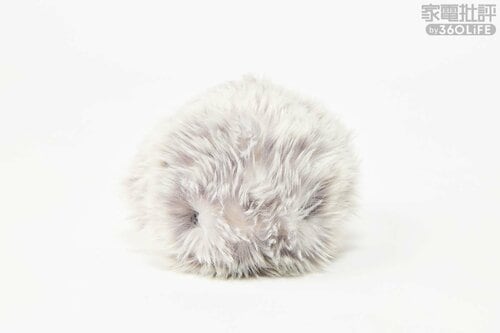 いつでもどこでも触れ合える ペットロボットおすすめ イメージ