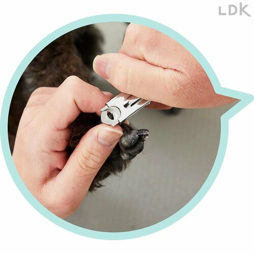ラバー付きのグリップで滑りにくい 犬用爪切りおすすめ イメージ