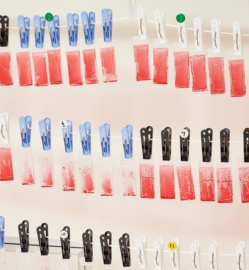 3：乾燥 食器用洗剤おすすめ イメージ