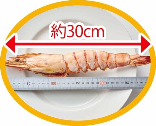 ボリューム デカ盛りお取り寄せグルメおすすめ イメージ