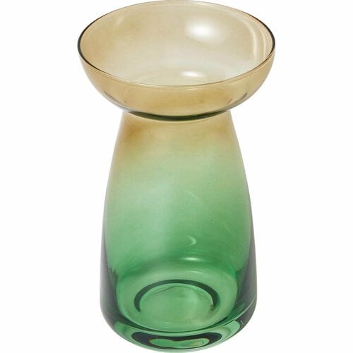 3COINS「水耕栽培 観葉植物」