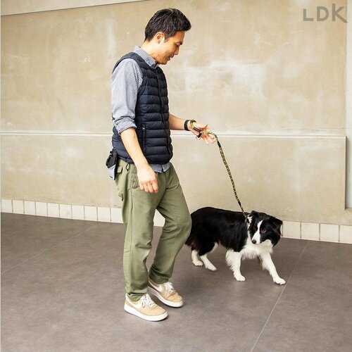 プロも満足できるクオリティと操作性の高さ 犬用リードおすすめ イメージ