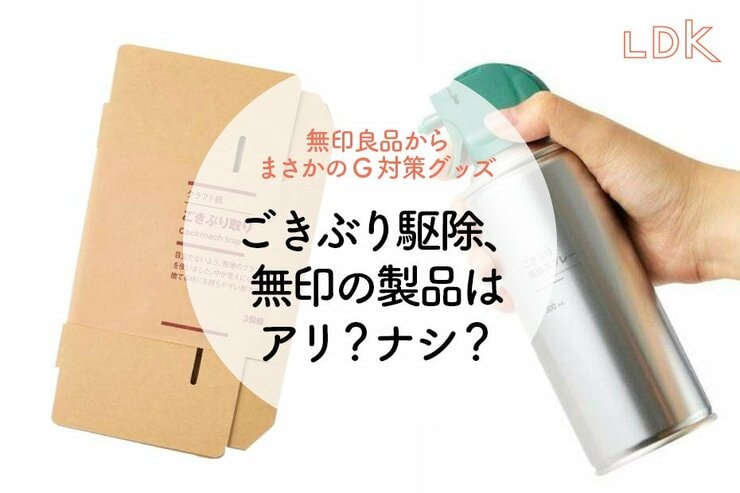 【無印ありがとう】“虫が載っていない”G駆除スプレーが欲しかった！気になるその実力は？【LDK】