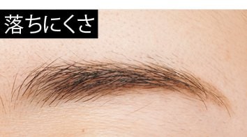 落ちにくさ アイブロウおすすめ イメージ