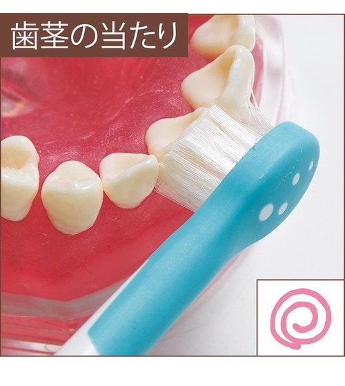 使いやすさ:評価A こども用電動歯ブラシおすすめ イメージ2