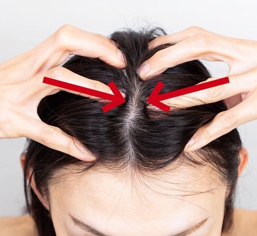 STEP2:頭の中央にグッと寄せる シャンプーブラシおすすめ イメージ