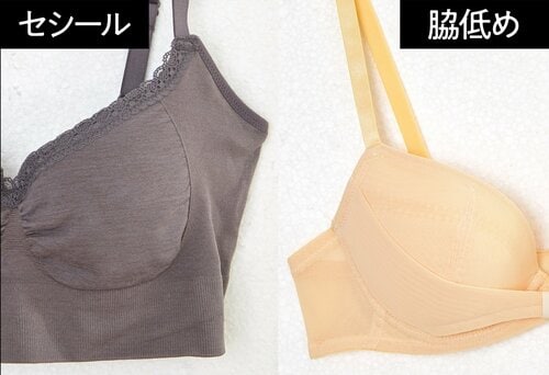  サポート力 夏のブラジャーおすすめ イメージ