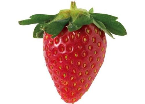 甘さ・食感・香りは品種によって違いがあります イメージ