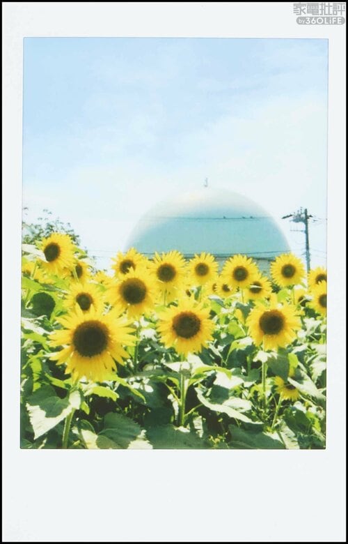 白トビしたような独特の風合いを楽しむなら フォトプリンターおすすめ イメージ