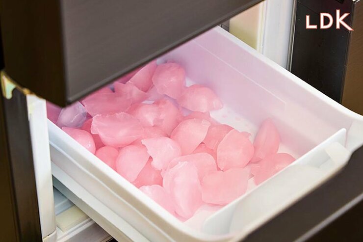 【赤い氷が出てくる】カインズの自動製氷機クリーナーってアリ？ 気になるアイテムを使ってみた【LDK】