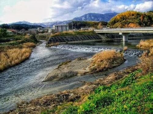 2:川の下流域
