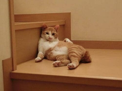 気持ちよすぎる！究極のゴロ寝アイテムをご紹介 イメージ