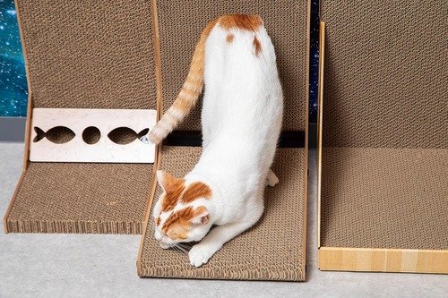 L字型猫用爪とぎ映え系猫用爪とぎ 猫用爪とぎおすすめ イメージ