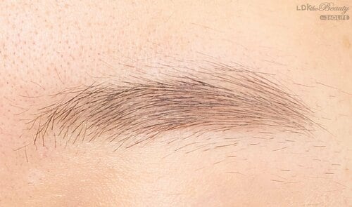 仕上がり イメージ