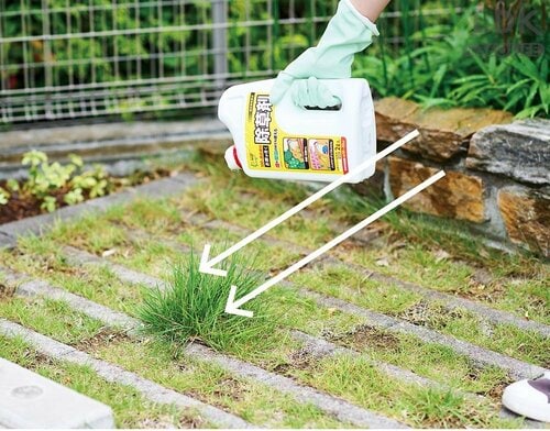 ステップ2:散布の向きは風上から風下へ! 除草剤おすすめ イメージ