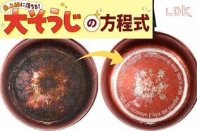 焦げ焦げフライパン、捨てるの待った！ 洗剤パックで消え去ることもあるんです【LDK大掃除】