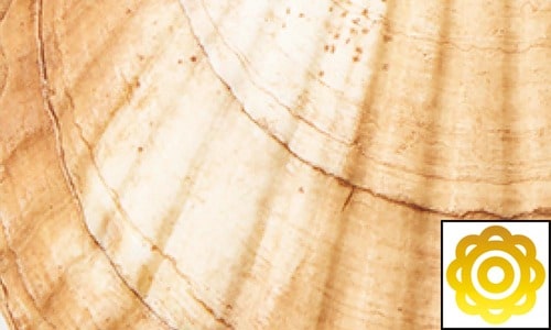 継続ホワイトニング力 ホワイトニングジェルおすすめ イメージ