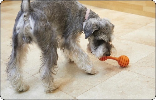 くわえやすいサイズだから犬の運動量が増えやすい 犬用おもちゃおすすめ イメージ2