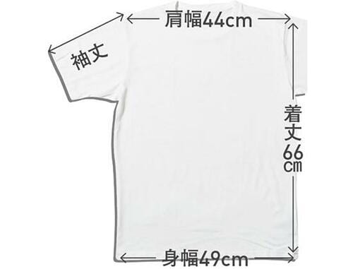 【Ｂ評価】ドライカラーはインナーとしては高評価  ユニクロ無地Tシャツおすすめ イメージ