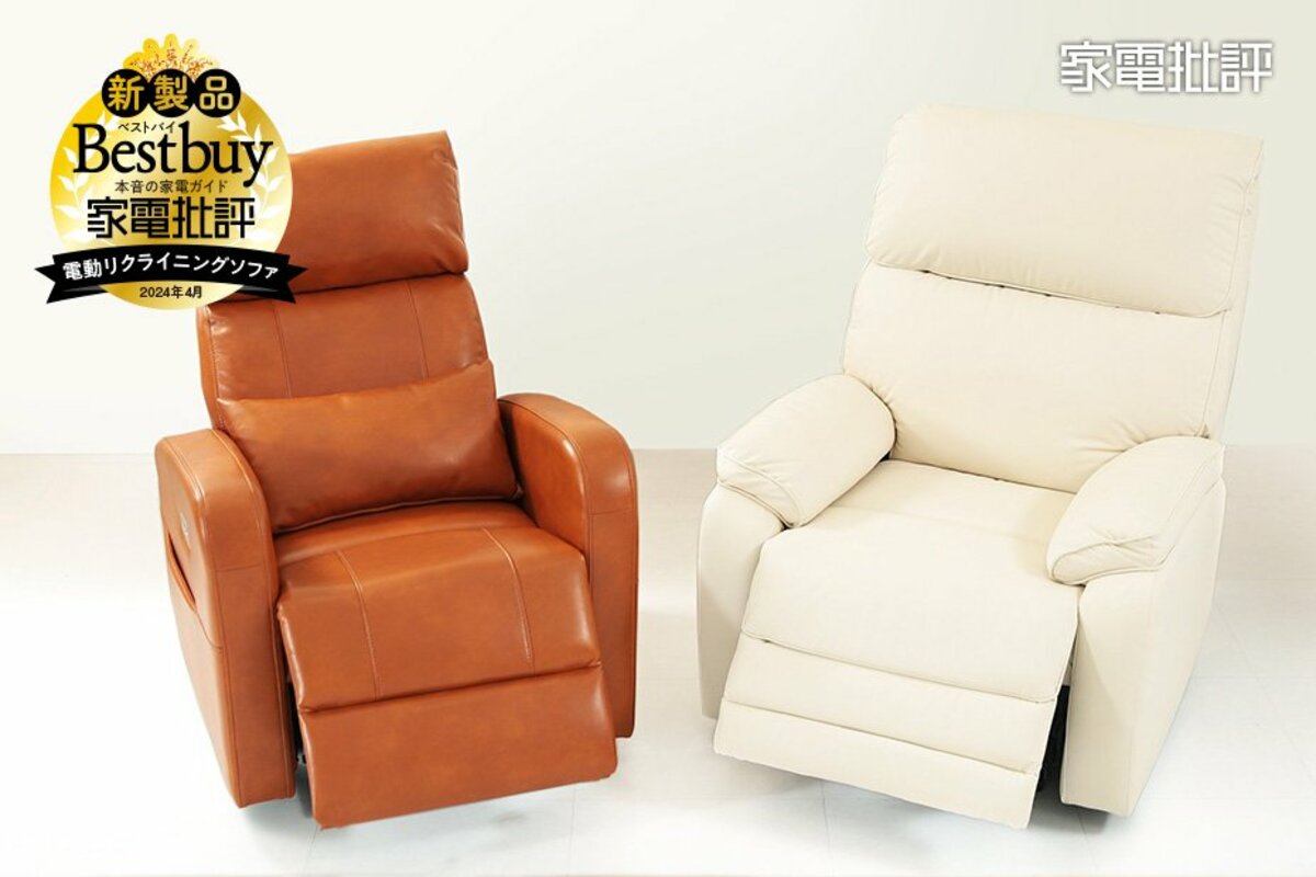 マユゲ犬様専用 Flexispot 電動リクライニングソファ X5