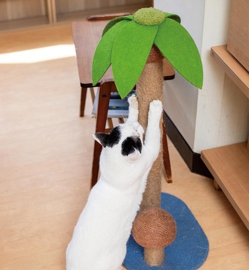 しがみつくと倒れてしまうことも…… 猫用爪とぎおすすめ イメージ