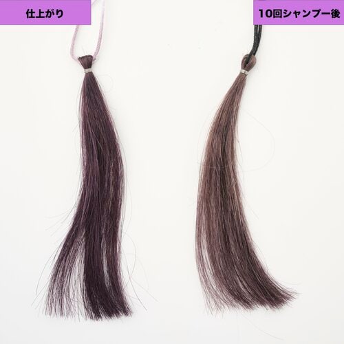 誰にでも似合いそうなカラー パープル（紫）のヘアカラーおすすめ イメージ2