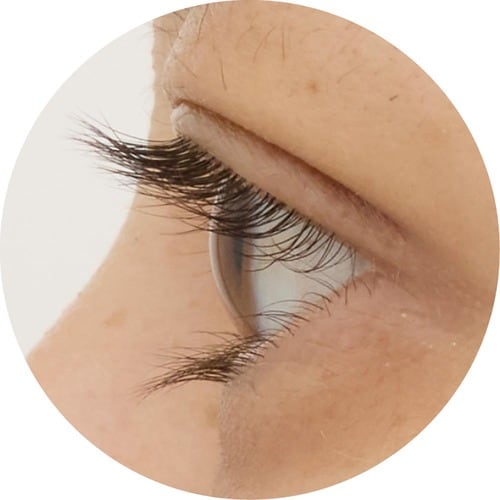 平行二重 ビューラーおすすめ イメージ2