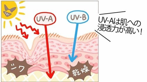 紫外線がシワを誘発する! 乾燥ケアおすすめ イメージ