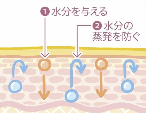 保湿には2種類ある イメージ