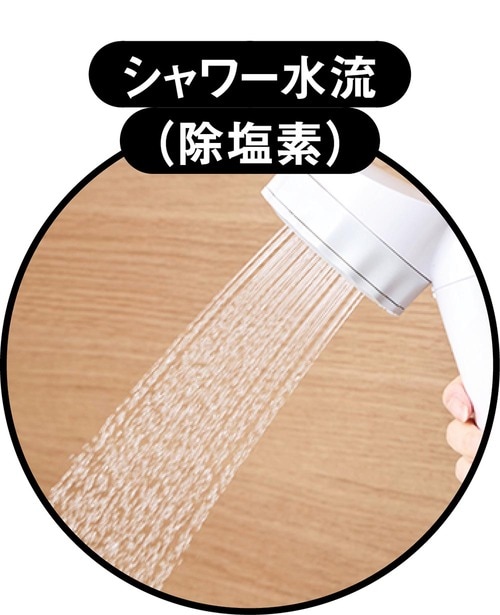 シャワー水流(除塩素) シャワーヘッドおすすめ イメージ